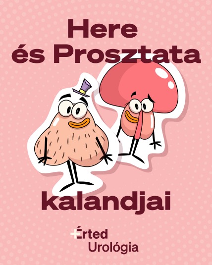 +Érted urology — an illustrated campaign poster