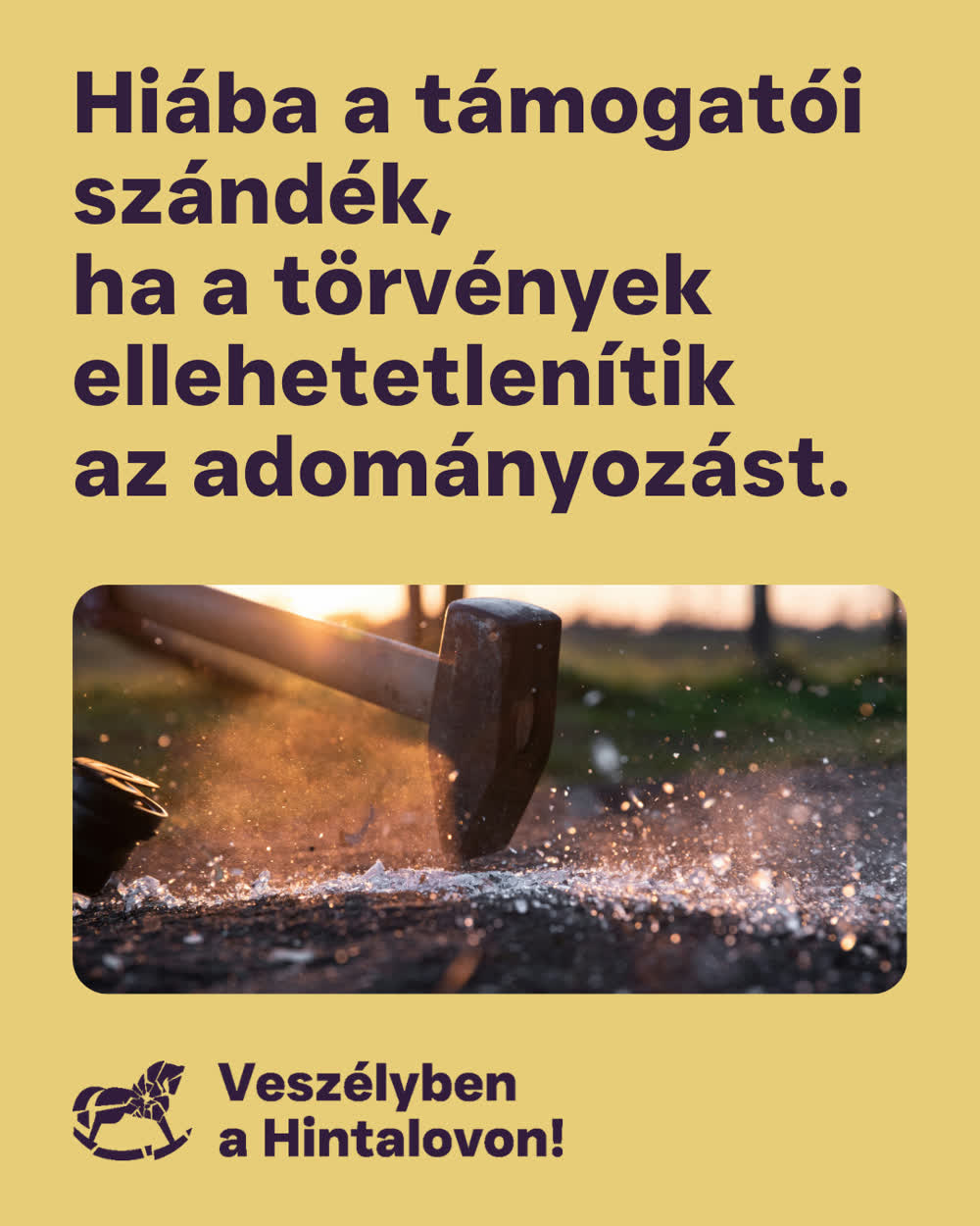Hintalovon campaign — donation page visual